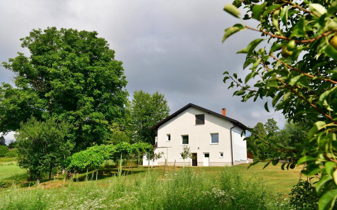 Lora Apartman Rakovica Kültér fotó